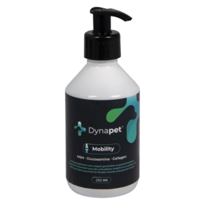 DYN MOBILITY Voedingssupplement Vloeistof-250ml